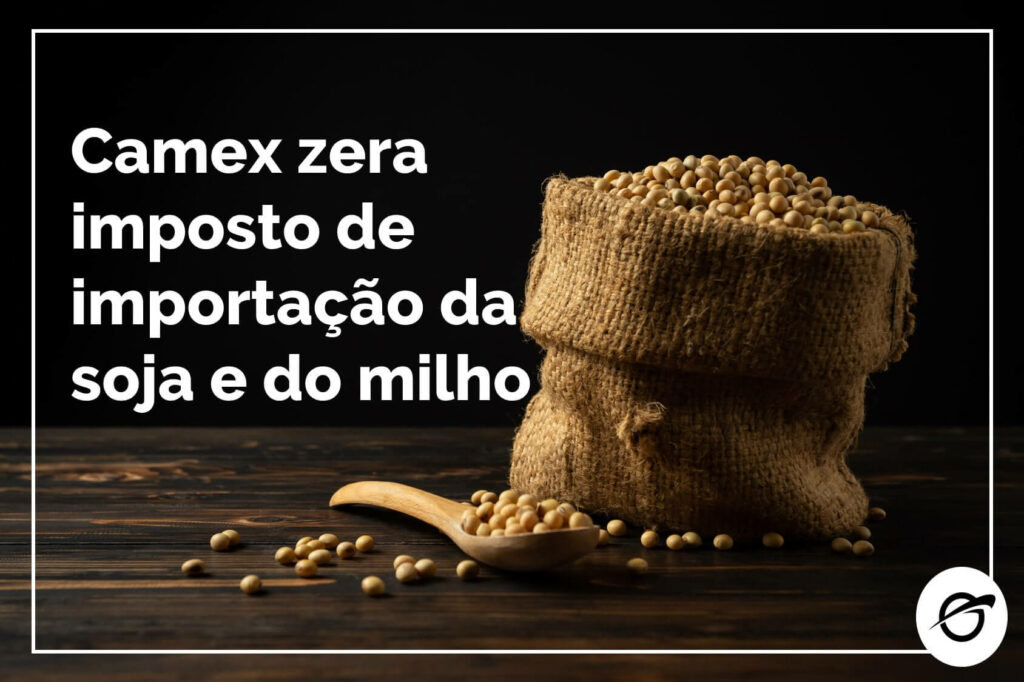 Camex-zera-imposto-de-importação-da-soja-e-do-milho